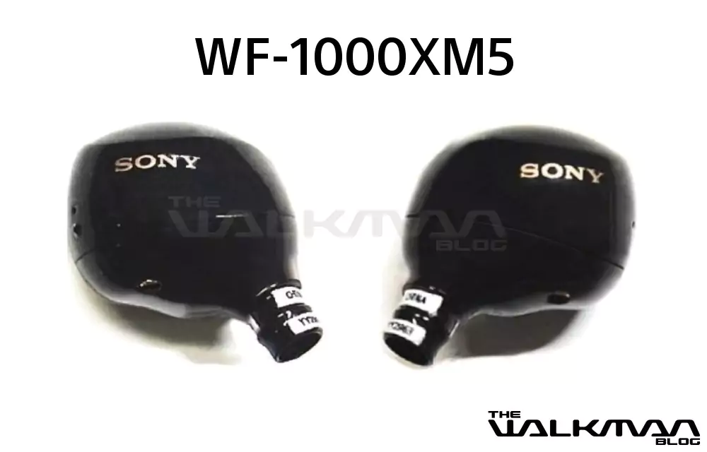 wf1000xm5-cover