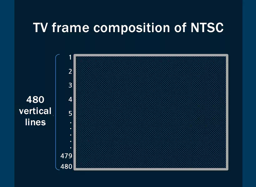 10ntsc-1-6579fa5e06d16