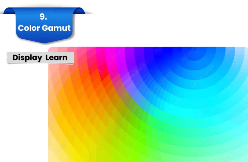 9-color-gamut-6579fa5cbd7ed